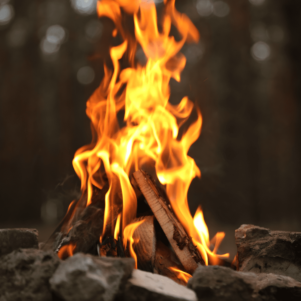 Divi Carpenter Layout Image 10